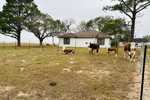 1696 E Fm 884, Yorktown, TX 78164 - Photo 6