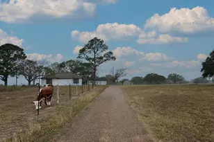 1696 E Fm 884, Yorktown, TX 78164 - Photo 4