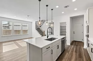 217 Singing Dove Wy, Liberty Hill, TX 78642 - Photo 10