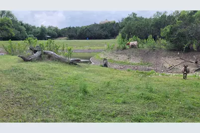 110 Longhorn Lane, Dripping Springs, TX 78620 - Photo 14
