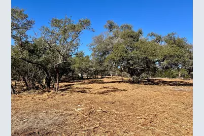 422 Patricia Road, Georgetown, TX 78628 - Photo 2