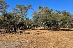 422 Patricia Rd, Georgetown, TX 78628 - Photo 2