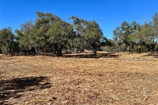 422 Patricia Rd, Georgetown, TX 78628 - Photo 16