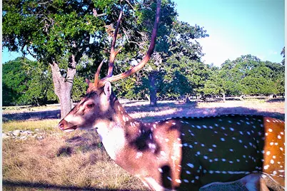 51 Dead End Rd., Mountain Home, TX 78058 - Photo 16