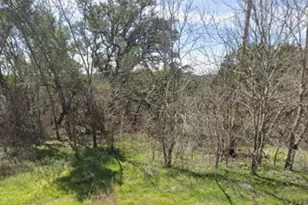 18501 E Lakeview Dr, Jonestown, TX 78645 - Photo 1