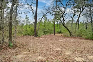 170 Woodland Ct, Bastrop, TX 78602 - Photo 38