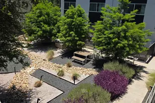 1701 E Martin Luther King Jr Blvd, Austin, TX 78702 - Photo 24