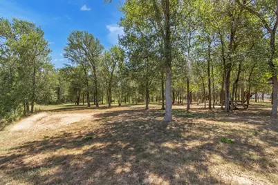 104 Harris Hawk Cove, Cedar Creek, TX 78612 - Photo 34