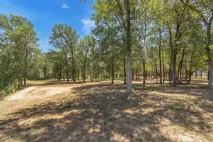 104 Harris Hawk Cove, Cedar Creek, TX 78612 - Photo 34