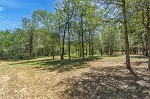 104 Harris Hawk Cove, Cedar Creek, TX 78612 - Photo 30
