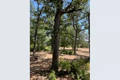 452 Wilhelm Way, Red Rock, TX 78662 - Photo 4