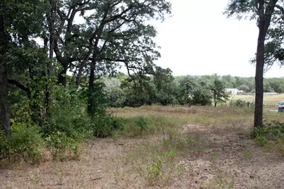 452 Wilhelm Way, Red Rock, TX 78662 - Photo 14