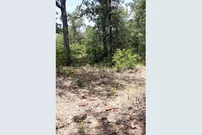 452 Wilhelm Way, Red Rock, TX 78662 - Photo 16
