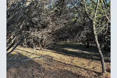 301 Cr-282 Lot 1 Road, Liberty Hill, TX 78642 - Photo 16