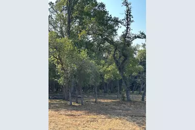 12333A Ranch Rd 12 #1, Wimberley, TX 78676 - Photo 12
