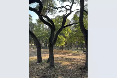 12333A Ranch Rd 12 #1, Wimberley, TX 78676 - Photo 6