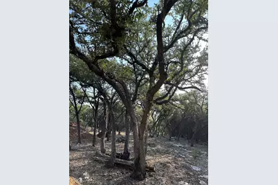 12333A Ranch Rd 12 #1, Wimberley, TX 78676 - Photo 10