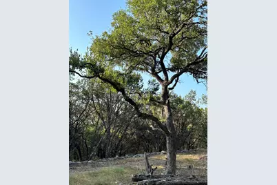 12333A Ranch Rd 12 #1, Wimberley, TX 78676 - Photo 8