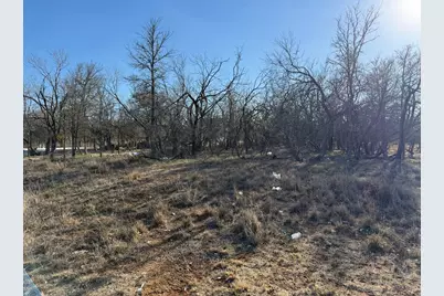 133 Chandler Cove, Cedar Creek, TX 78612 - Photo 6