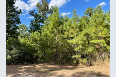 Lot 986 Kailua L Lane, Bastrop, TX 78602 - Photo 4