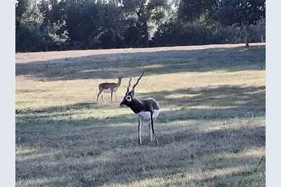 1059 Ranger Ridge Alley, New Braunfels, TX 78132 - Photo 24