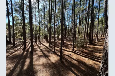 Lot 12 Hickory Ridge Drive, Bastrop, TX 78602 - Photo 6
