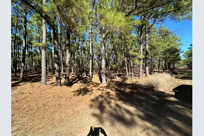 Lot 12 Hickory Ridge Drive, Bastrop, TX 78602 - Photo 4