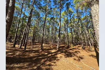 Lot 12 Hickory Ridge Drive, Bastrop, TX 78602 - Photo 2