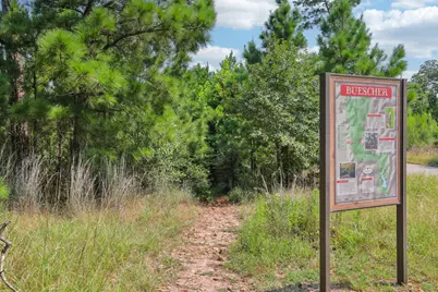 497 Cottletown Road, Smithville, TX 78957 - Photo 10