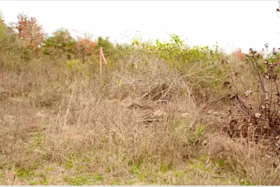 497 Cottletown Road, Smithville, TX 78957 - Photo 14