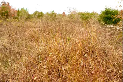 497 Cottletown Road, Smithville, TX 78957 - Photo 24