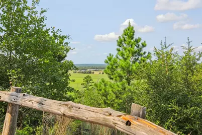 497 Cottletown Road, Smithville, TX 78957 - Photo 6