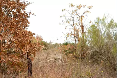 497 Cottletown Road, Smithville, TX 78957 - Photo 20