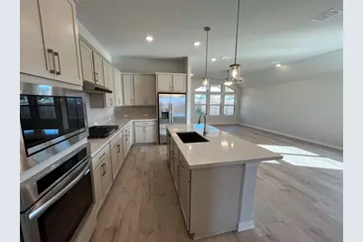 244 Rubber Tree Way, Buda, TX 78610 - Photo 8