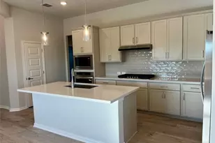 244 Rubber Tree Wy, Buda, TX 78610 - Photo 4