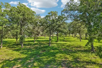 6 Acres County Road 211, Giddings, TX 78942 - Photo 8
