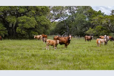 3814 Cr 19, Hallettsville, TX 77964 - Photo 26