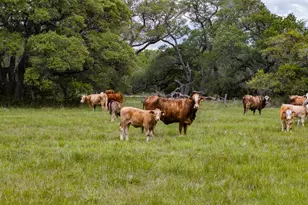 3814 Co Rd 19, Hallettsville, TX 77964 - Photo 26