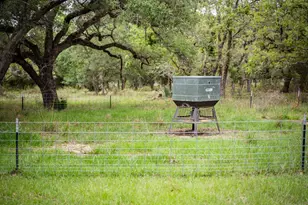 3814 Co Rd 19, Hallettsville, TX 77964 - Photo 40