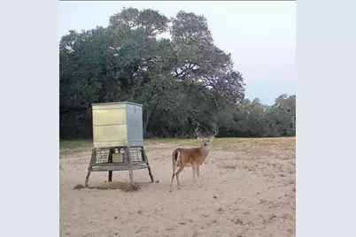 3814 Cr 19, Hallettsville, TX 77964 - Photo 36