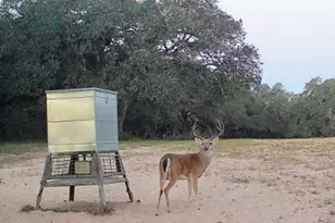 3814 Co Rd 19, Hallettsville, TX 77964 - Photo 36