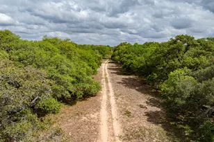 3814 Co Rd 19, Hallettsville, TX 77964 - Photo 8