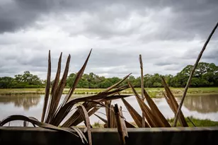 3814 Co Rd 19, Hallettsville, TX 77964 - Photo 34