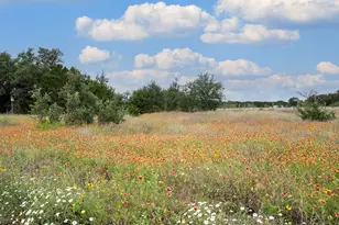 7075 Rr 1869, Liberty Hill, TX 78642 - Photo 30