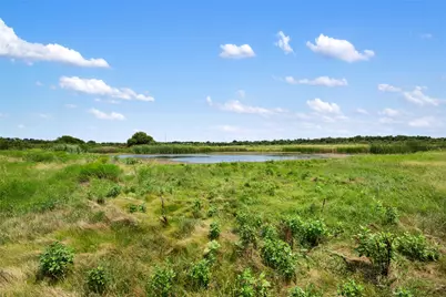 1775 County Road 305 Road, Jarrell, TX 76537 - Photo 6