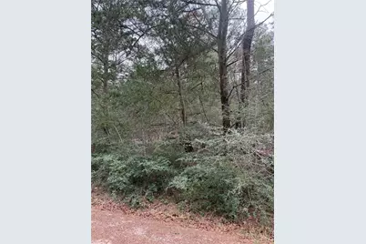 Lot 1428 Keeau Court, Bastrop, TX 78602 - Photo 2