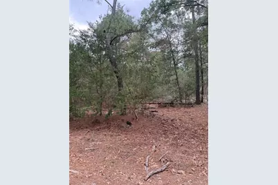 Lot 1428 Keeau Court, Bastrop, TX 78602 - Photo 4
