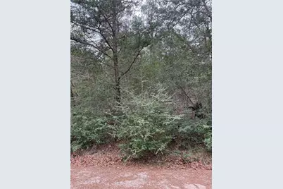 Lot 1428 Keeau Court, Bastrop, TX 78602 - Photo 1