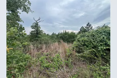 Tbd Blue Jay Road, Bastrop, TX 78602 - Photo 4