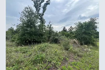 Tbd Blue Jay Road, Bastrop, TX 78602 - Photo 4
